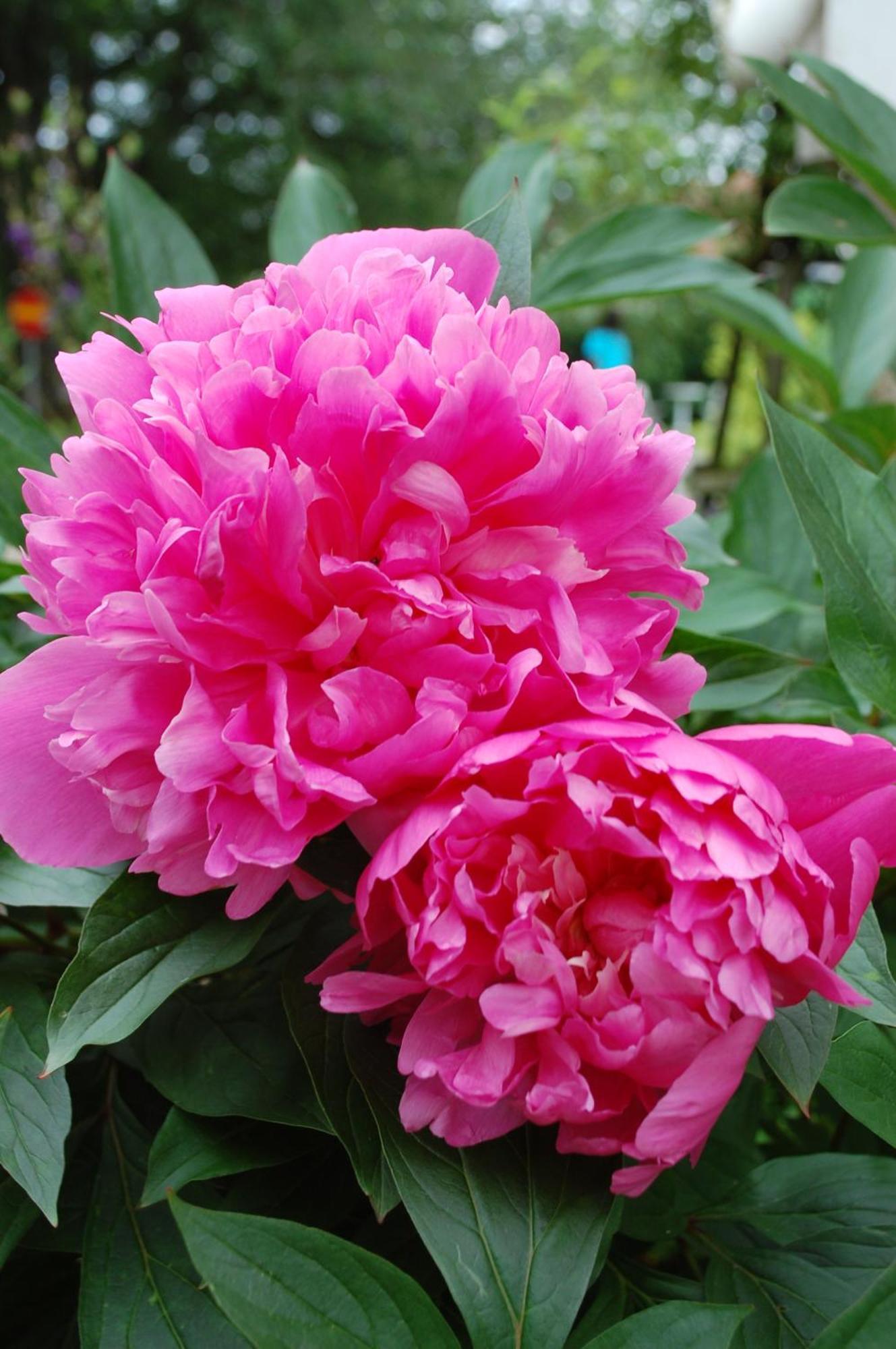 Allegarden Kastloesa Vandrarhem ภายนอก รูปภาพ